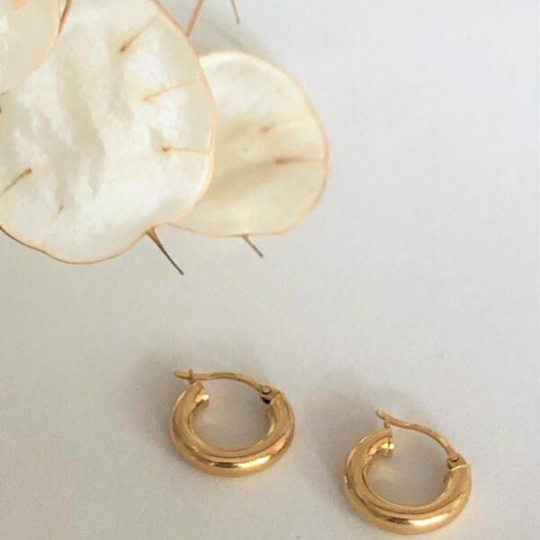 Nos boucles d'oreilles