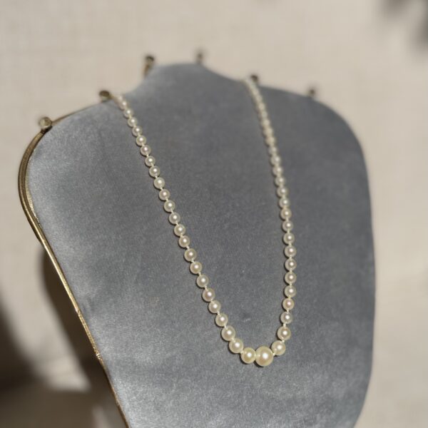 Collier de perles de culture